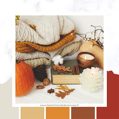 palette de couleur gris, moutarde, orange, brun, rouge, automne avec photo de pull confortable, livre, bougie, cannelle, citrouille, feuille d'automne